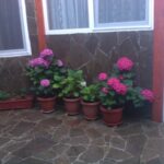Фото 6