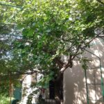Фото 3