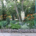 Фото 6