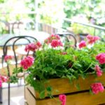 Фото 8